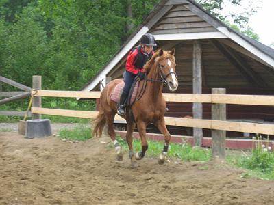 toffee079[1].jpg - Wilma ja Toffee